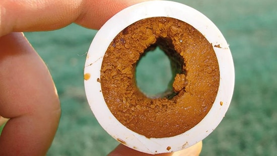 Biofilm in water line